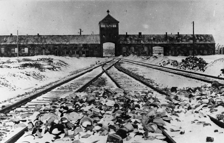Bundesarchiv b 285 bild 04413 kz auschwitz einfahrt